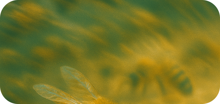 Abstract image of bees